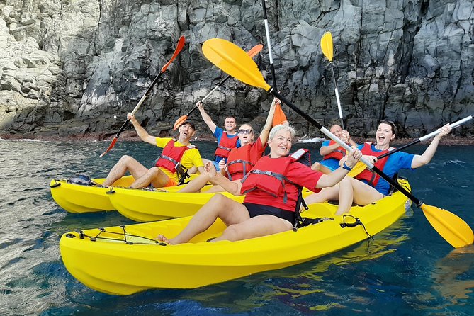 Kayak with Dolphin & Turtle Watching Private Tour - Key things to know before you go