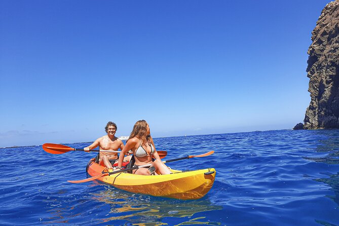 Kayak with Dolphin & Turtle Watching Private Tour - Kayaking the Teno Rasca marine strip for turtles and dolphins