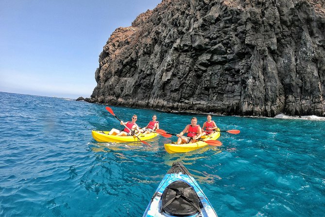 Kayak with Dolphin & Turtle Watching Private Tour - The kayak comfort setup: why the backrest matters