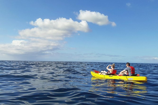 Kayak with Dolphin & Turtle Watching Private Tour - Guides can make or break the experience
