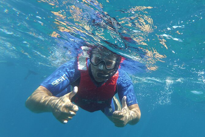 Kayaking + snorkeling with turtles - Booking Smart: Group Size, English, and When to Reserve