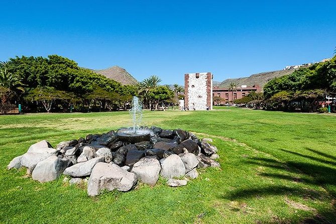 La Gomera Day Trip from Tenerife - Bus Comfort on Winding Roads: Drivers Matter More Than You Think