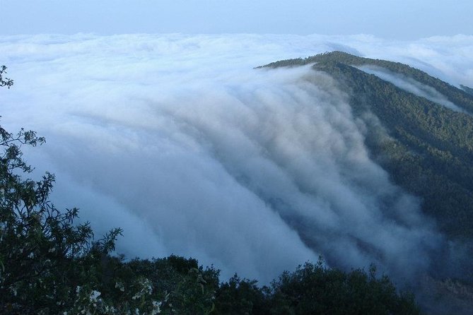La Gomera Island Tour - Torre del Conde Park: A History Stop That Explains Why the Island Looks Like This