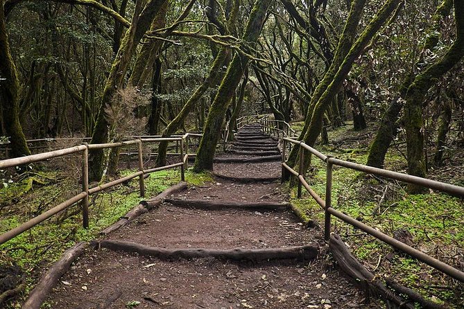 La Gomera Island Tour - San Sebastián de la Gomera: Capital Vibes and Quick Island Orientation