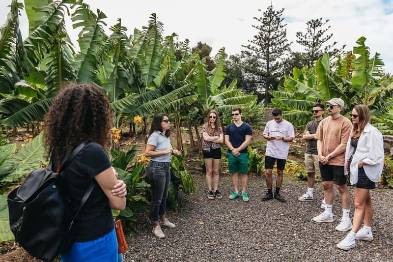 La Orotava: Eco Banana Plantation Tour with Banana Liquor - Eco farming: how they reduce pesticides and fertilizers (the practical version)