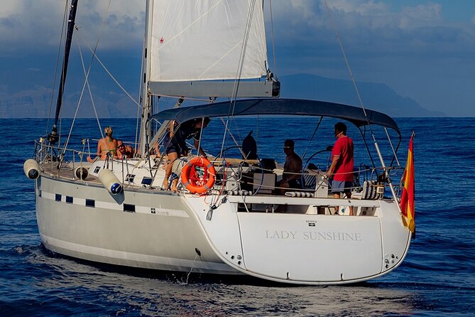 Lady Sunshine Private, from 3 to 8 hours - Longer 6–8 Hour Option: Los Gigantes Cliffs, Endemic Wildlife, and Paella