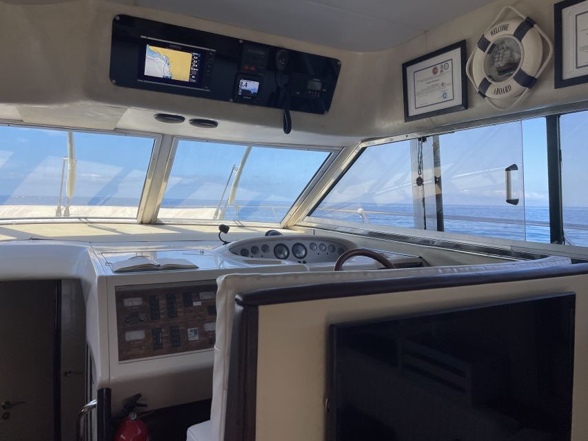 Las Galletas: Private Luxury Yacht Cruise with Lunch - Fast cruising along Tenerife’s south coast (and why it matters)