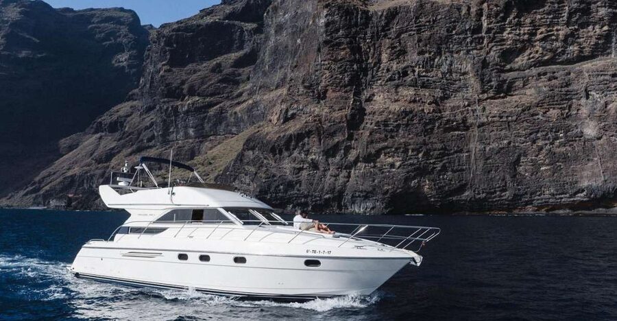 Las Galletas: Private Luxury Yacht Cruise with Lunch - Whale and dolphin spotting: best practices for seeing more
