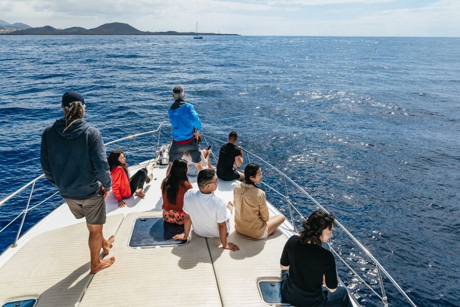 Las Galletas: Whale & Dolphin Tour with Local Skipper - Who this tour suits (and who should think twice)