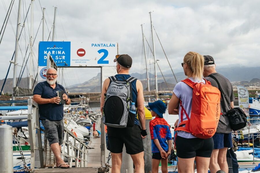 Las Galletas: Whale & Dolphin Tour with Local Skipper - Wildlife spotting off Tenerife: what you’re really trying to see