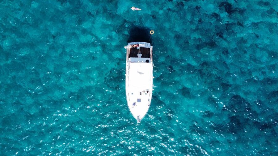 Las Galletas: Whale & Dolphin Tour with Local Skipper - The anchored swim and snorkeling stop: the best part for many people