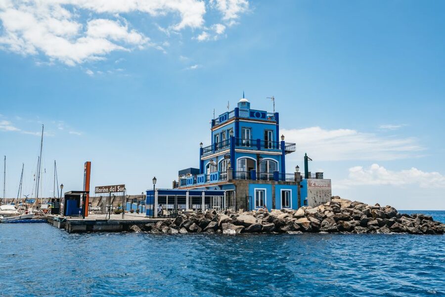 Las Galletas: Whale & Dolphin Tour with Local Skipper - Homemade lunch onboard: typical local food, not just filler
