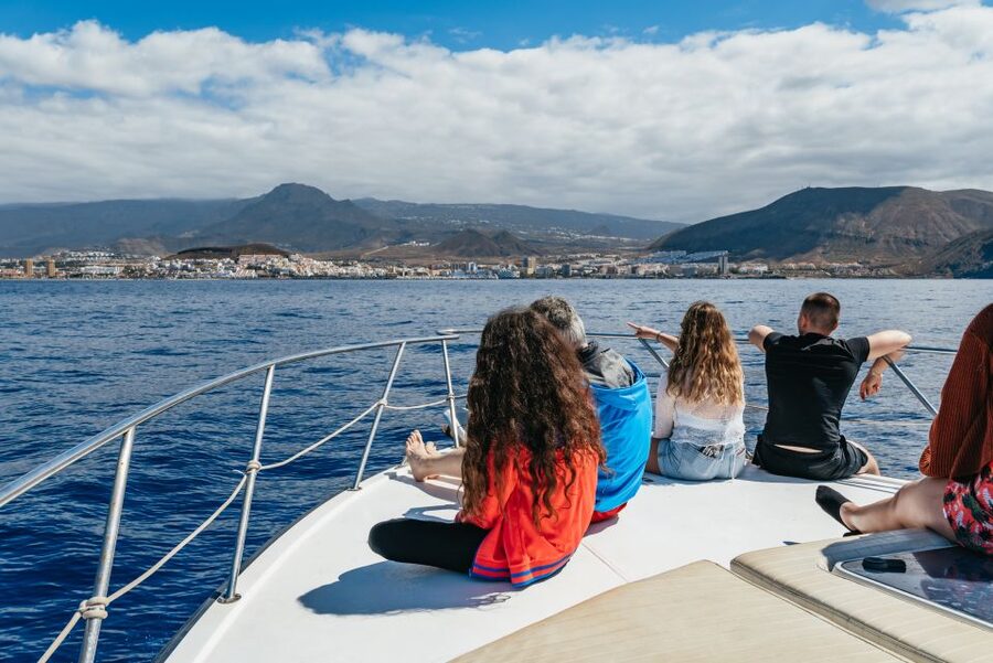 Las Galletas: Whale & Dolphin Tour with Local Skipper - Price and value: does $69 make sense for this itinerary?