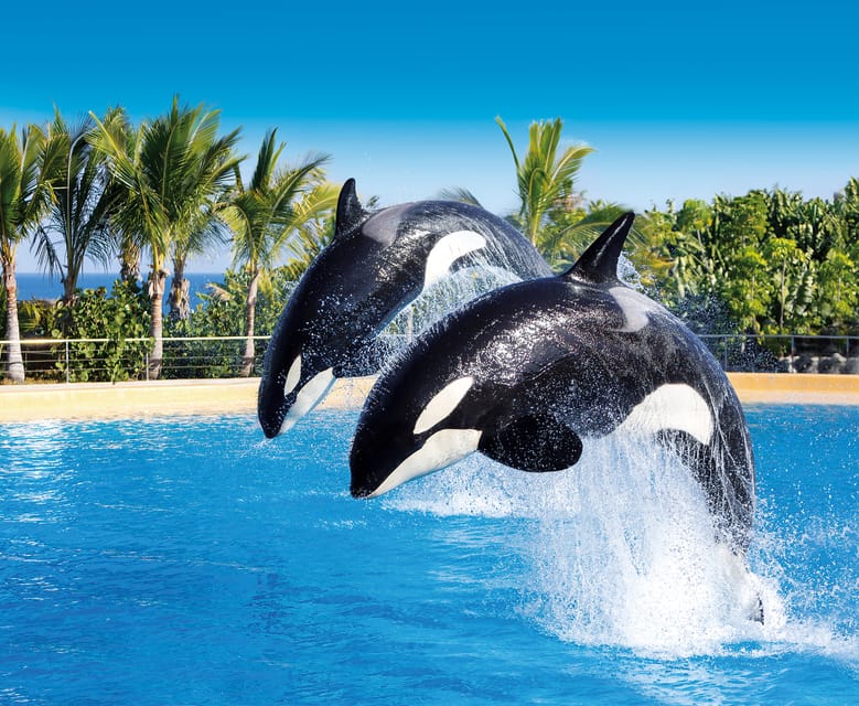 Loro Parque and Siam Park Combined Admission Tickets - Why this Loro Parque and Siam Park combo is such a smart Tenerife move