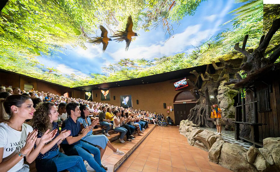 Loro Parque and Siam Park Combined Admission Tickets - Price and value: what $92 really buys you