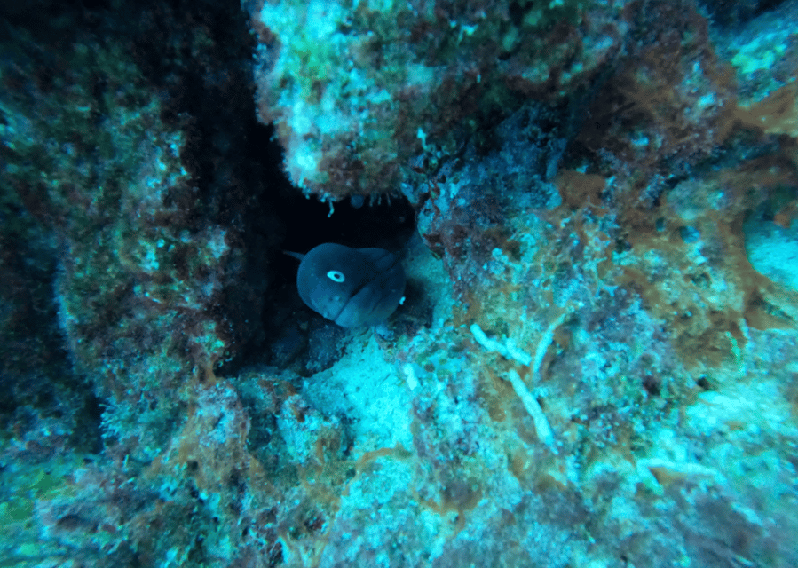 Los Cristianos: Basic Diver Course - Key things I’d mark on your mental map