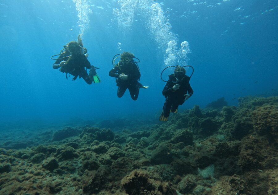 Los Cristianos: Basic Diver Course - Los Cristianos basics: what makes this first underwater course work