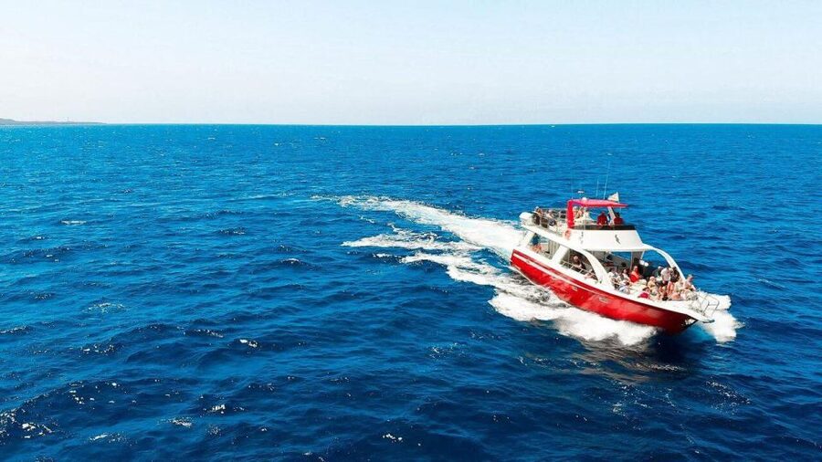Los Cristianos: Eco Yacht Whale Watching Tour at Sunset - Los Cristianos Sunset: Why 90 Minutes Feels Perfect