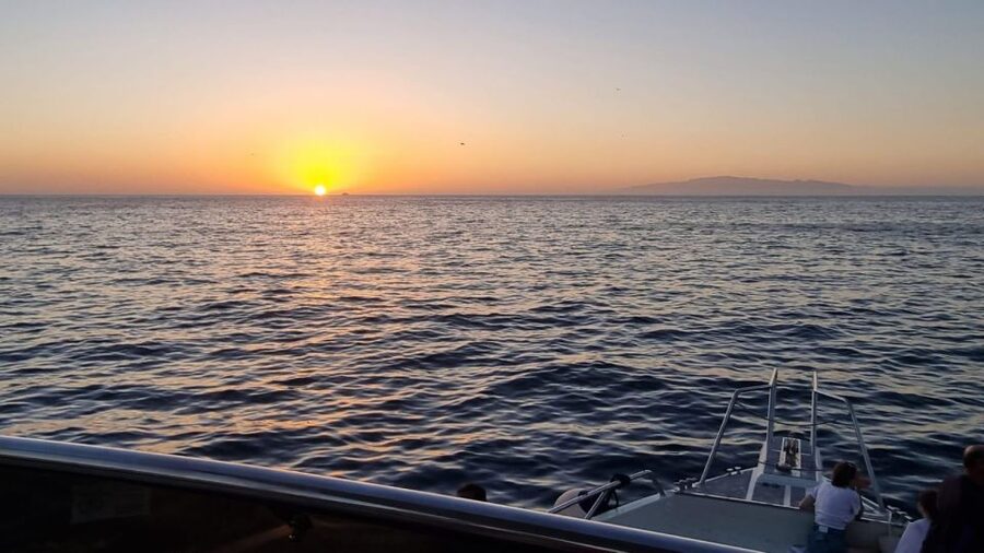 Los Cristianos: Eco Yacht Whale Watching Tour at Sunset - Who This Tour Fits Best (and Who Might Want to Skip It)