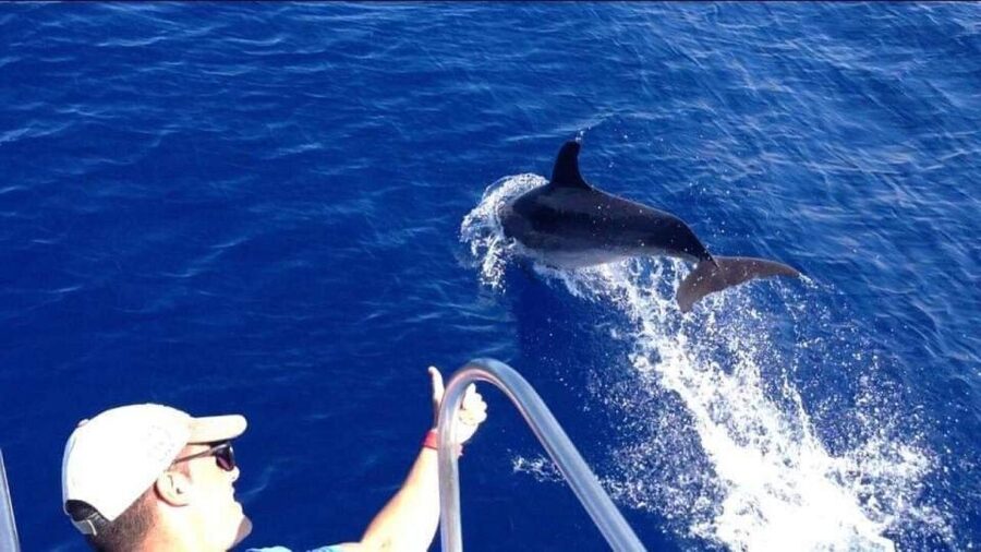 Los Cristianos: Eco Yacht Whale Watching Tour at Sunset - Your Comfort Check: Motion, Warm Clothes, and a More Stable Ride