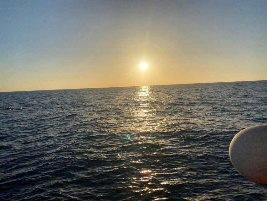 Los Cristianos: Eco Yacht Whale Watching Tour at Sunset - Price and Value: Why About $17 Can Feel Like a Deal
