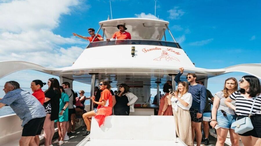 Los Cristianos: Eco Yacht Whale Watching Tour at Sunset - What You Do on the Water: The 1.5-Hour Timeline That Makes Sense