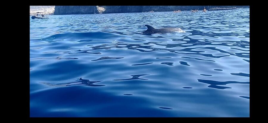 Los Cristianos: Kayak & Snorkel Tour with turtles and photos included - Key highlights before you go