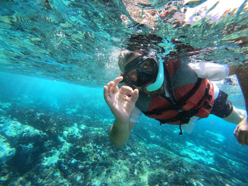 Los Cristianos: Kayaking and Snorkeling with Marine Wildlife - Price value: why $53 can make sense here