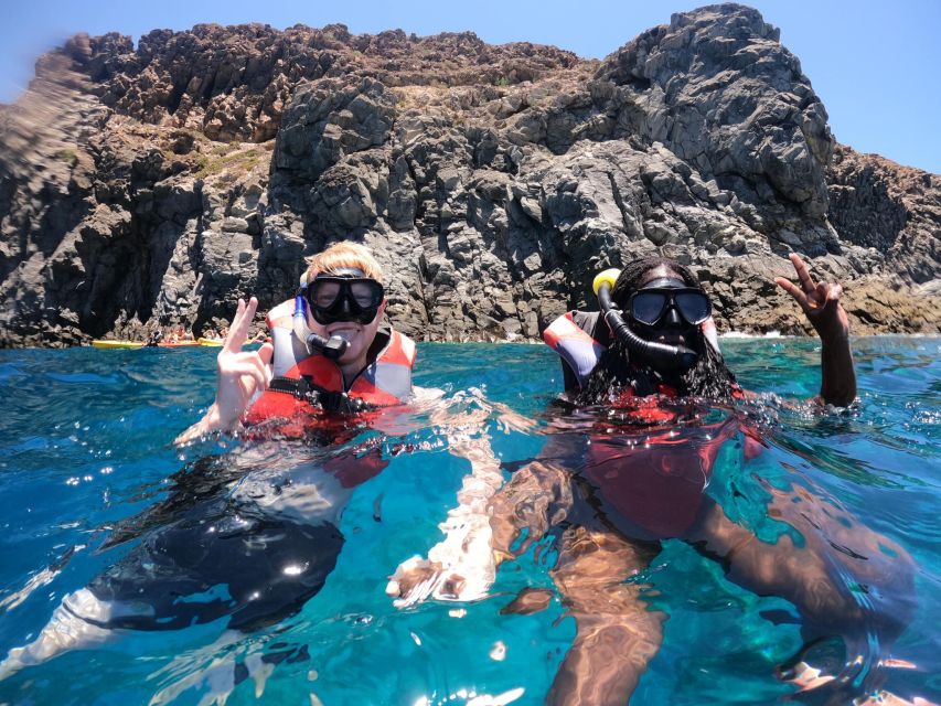 Los Cristianos: Kayaking and Snorkeling with Marine Wildlife - Pickup and drop-off: keep your schedule realistic