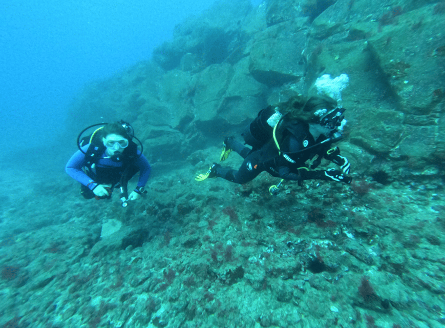 Los Cristianos: Try Dive for beginners - What to Bring (And What to Skip)