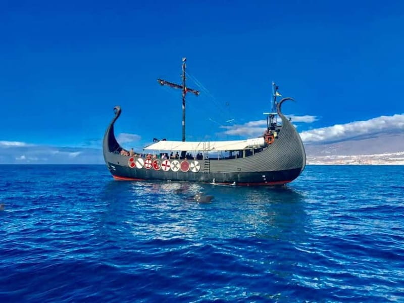 Los Cristianos: Viking Cruise Whales & Dolphins Watching - Where you board at Puerto de Los Cristianos (and why timing matters)