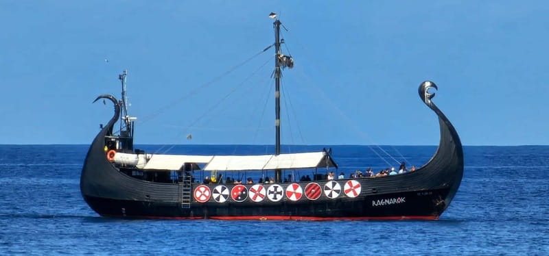 Los Cristianos: Viking Cruise Whales & Dolphins Watching - Wheelchair accessibility: what’s different on the water