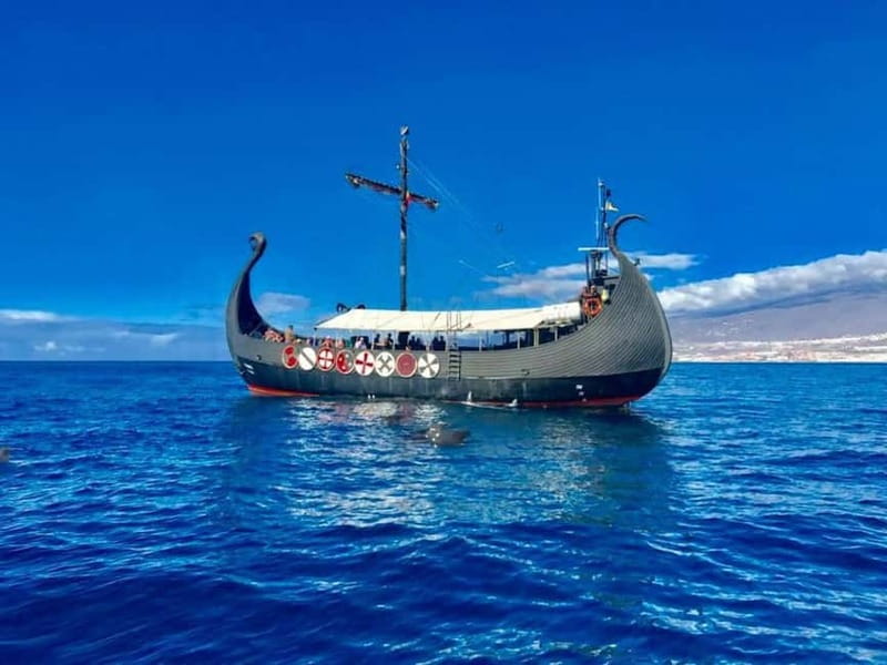 Los Cristianos: Whale Watching Cruise w/Swim Stop & Drinks - Where the whales and dolphins show up: Tenerife–La Gomera waters