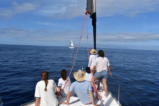 Los Gigantes Clifs Small-Group Sail Tour with Lunch - Los Gigantes Cliffs, Seen the Way They Were Meant to Be Seen