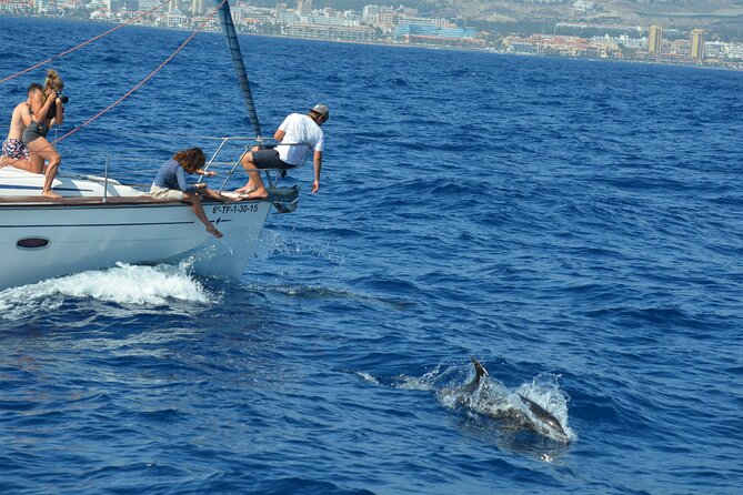 Los Gigantes Clifs Small-Group Sail Tour with Lunch - The Real Value of $89.87: What You’re Paying For