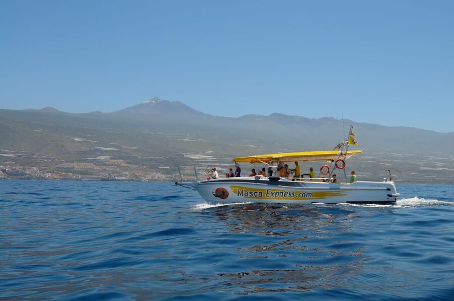 Los Gigantes: Dolphin & Whale Watching Cruise with Swim Stop - Los Gigantes: where the cliffs meet your sea-day