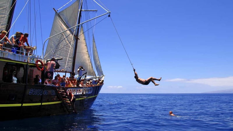 Los Gigantes: Dolphin & Whale Watching Tour on a Pirate Boat - Comfort, Seating, and Motion Sickness Reality Check