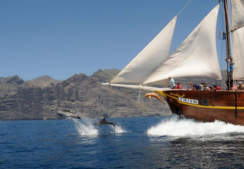 Los Gigantes: Dolphin & Whale Watching Tour on a Pirate Boat - Where You Meet Flipper Uno and How Early to Arrive