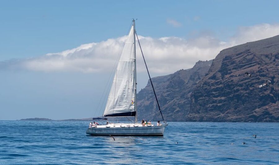 Los Gigantes: Sailing Excursion with Swimming, Drink & Tapas - Key things I’d bet on before you book