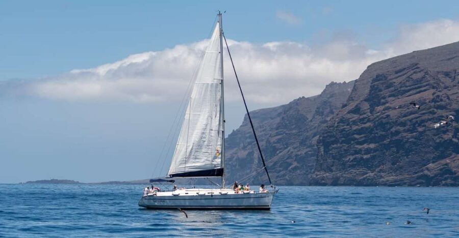 Los Gigantes: Sailing Excursion with Swimming, Drink & Tapas - Whale and Dolphin Spotting: How to Think About the Odds