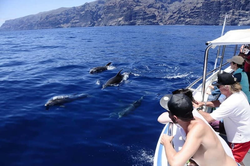 Los Gigantes: Whale or Dolphin Watching Tour and Swim in Masca - Los Gigantes to Masca Bay: two hours that feel like more