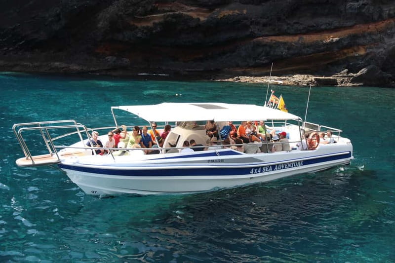 Los Gigantes: Whale or Dolphin Watching Tour and Swim in Masca - Where you meet and how boarding usually feels