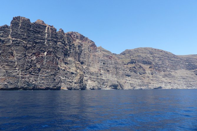 Los Gigantes Whale Watching Charter by Sail Boat - What it feels like on board: space, sunbeds, and a calmer pace