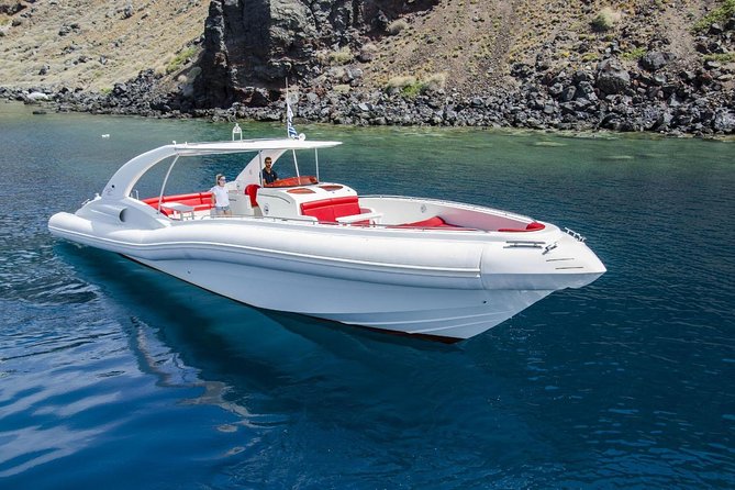 Luxury Opera 60 Whale & Dolphin Watching Experience - Whale and dolphin watching from the best kind of platform
