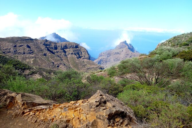 Masca from above - The 4-hour trail: pine forest, rainy-green stretches, and open outlooks