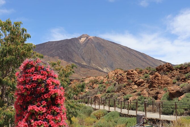 Masca - Garachico - Icod - Teide National Park - Key points that make this tour worth your time