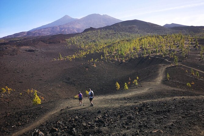 Masca - Garachico - Icod - Teide National Park - How this Tenerife route earns a full day (and doesn’t feel like a rush)
