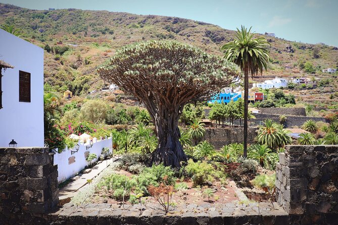 Masca - Garachico - Icod - Teide National Park - Stop 1: Teide National Park with Sámara volcano crater views and Roques de García