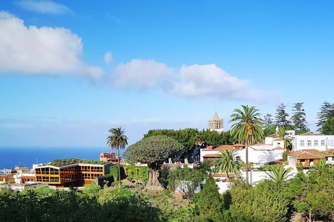 Masca - Garachico - Icod - Teide National Park - Stop 4: Icod de los Vinos and the Thousand-Year Drago, plus Chirche viewpoints