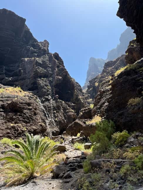 Masca Gorge Guided Hike - Reviews’ strongest themes: why people keep praising the same things
